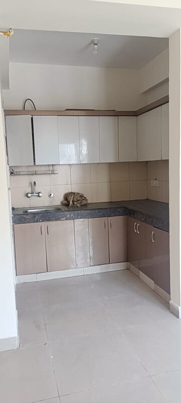 2 BHK Apartment For Rent in Amrapali Golf Homes, Sector 4, Greater Noida