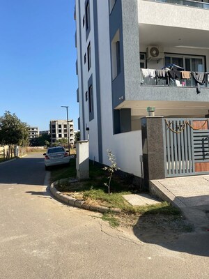 Living Room in 3 BHK Builder Floor at Sector 84 – for Sale