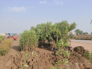  Plot – Exterior View View at Shankarpalli - for Sale