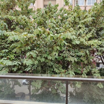 Balcony in 4 BHK Builder Floor at Ansal Sushant Lok I, Sector 43 – for Rent