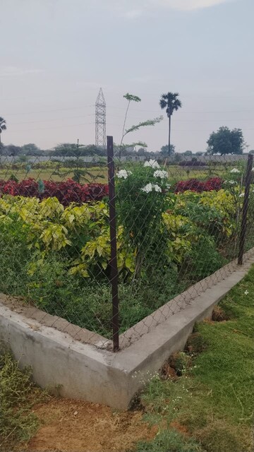  Plot – Exterior View View at Amerispace Dream Meadows, Kothur - for Sale