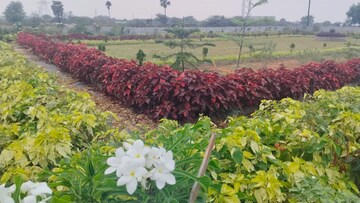  Plot – Exterior View View at Amerispace Dream Meadows, Kothur - for Sale