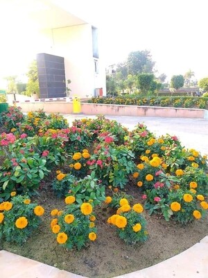  Plot – Exterior View View at Wing Lucknow Greens Plots, Sultanpur Road - for Sale