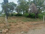 1089 Sq.Ft. Plot in Ranjanpada