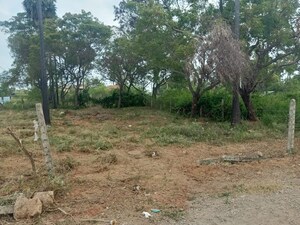  Plot For Sale in Ranjanpada