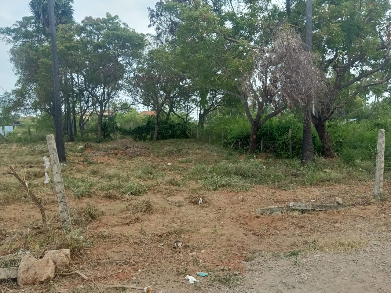 Plot For Sale in Ranjanpada