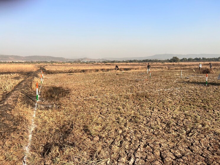 Exterior View, jui  1000 Sq.Ft. Plot In Jui Navi Mumbai 8474913