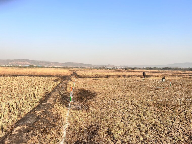 Exterior View, jui  1000 Sq.Ft. Plot In Jui Navi Mumbai 8474913