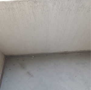  2 BHK Apartment at ACE Parkway, Sector 150 – for Sale