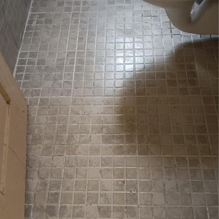 Bathroom, paras-tierea-studio-apartments 3 Bedroom 1285 Sq.Ft. Apartment In Sector 137 Noida 8475121