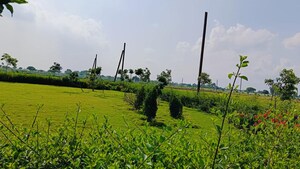  Plot – Exterior View View at Mathpurena - for Sale