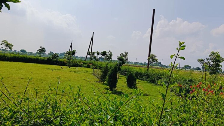 Exterior View, mathpurena  15000 Sq.Ft. Plot In Mathpurena Raipur 8475317