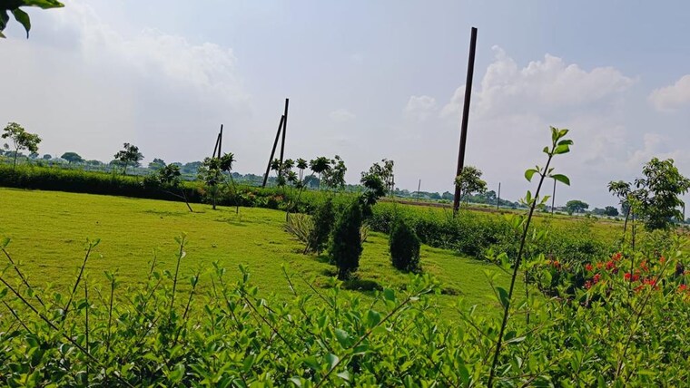 Exterior View, mathpurena  15000 Sq.Ft. Plot In Mathpurena Raipur 8475317