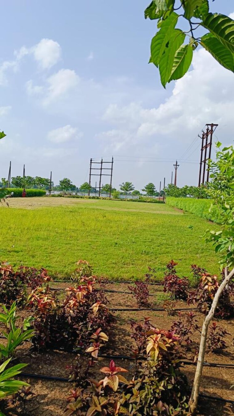 Exterior View, mathpurena  15000 Sq.Ft. Plot In Mathpurena Raipur 8475317