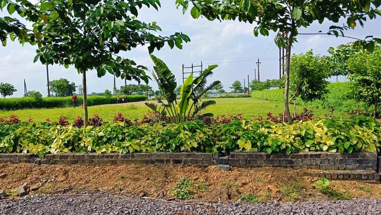 Exterior View, mathpurena  15000 Sq.Ft. Plot In Mathpurena Raipur 8475317