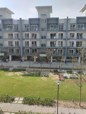 3.5 BHK Builder Floor For Sale in Smart World Gems, Sector 89