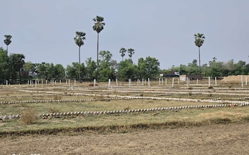 Plot For Sale in Sector 150