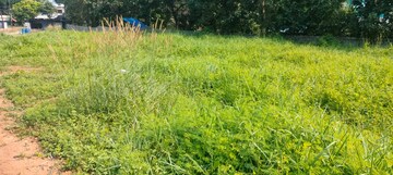  Plot – Garden View at Nellikunnu - for Sale