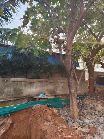 3 BHK Apartment – Exterior View View at Patia - for Sale
