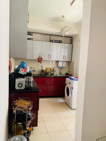 3 BHK Builder Floor – Exterior View View at Birla Arika, Sector 31 - for Rent