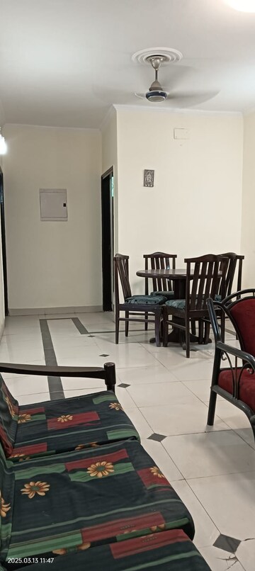Swimming Pool in 3 BHK Builder Floor at Sector 52 – for Rent