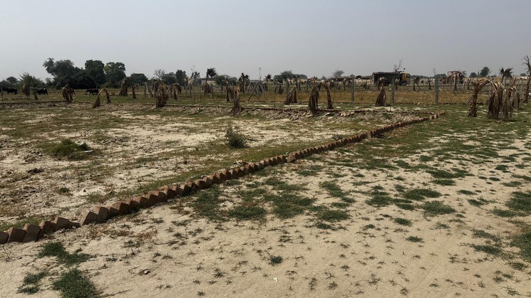 Garden, gaur-aerocity  65 Sq.Yd. Plot In Gaur Yamuna City Greater Noida 8476661