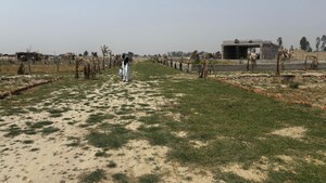  Plot – Garden View at Gaur Aerocity, Gaur Yamuna City - for Sale