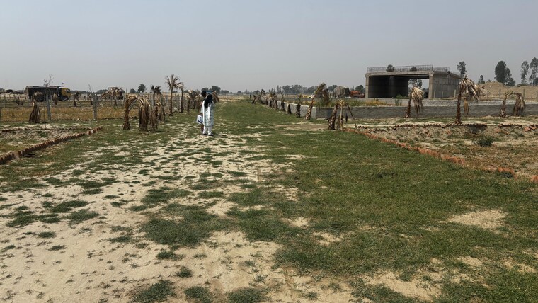 Garden, gaur-aerocity  65 Sq.Yd. Plot In Gaur Yamuna City Greater Noida 8476661