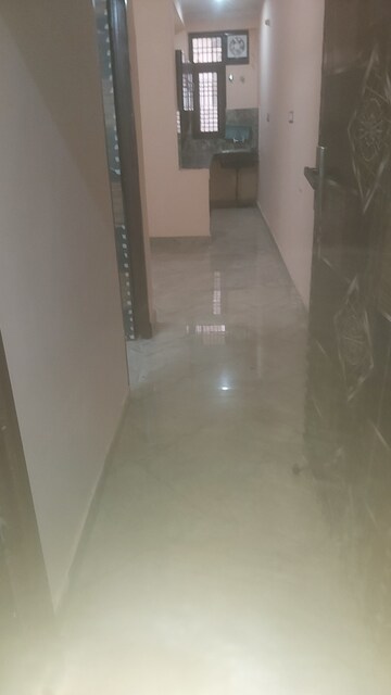2.5 BHK Builder Floor For Rent in Mayur Vihar
