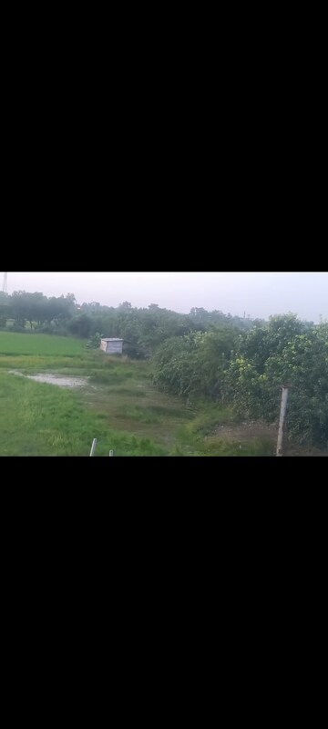  Land – Garden View at Alambagh - for Sale