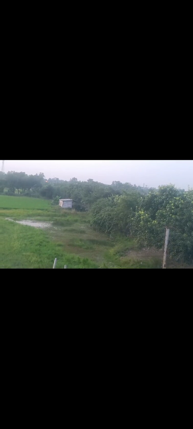 Garden, alambagh Commercial Land 100 Acre In Alambagh Lucknow 8476755
