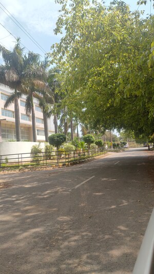  Plot – Exterior View View at Sector 27 - for Sale