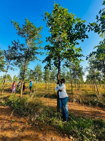  Land – Exterior View View at Andipatti - for Sale