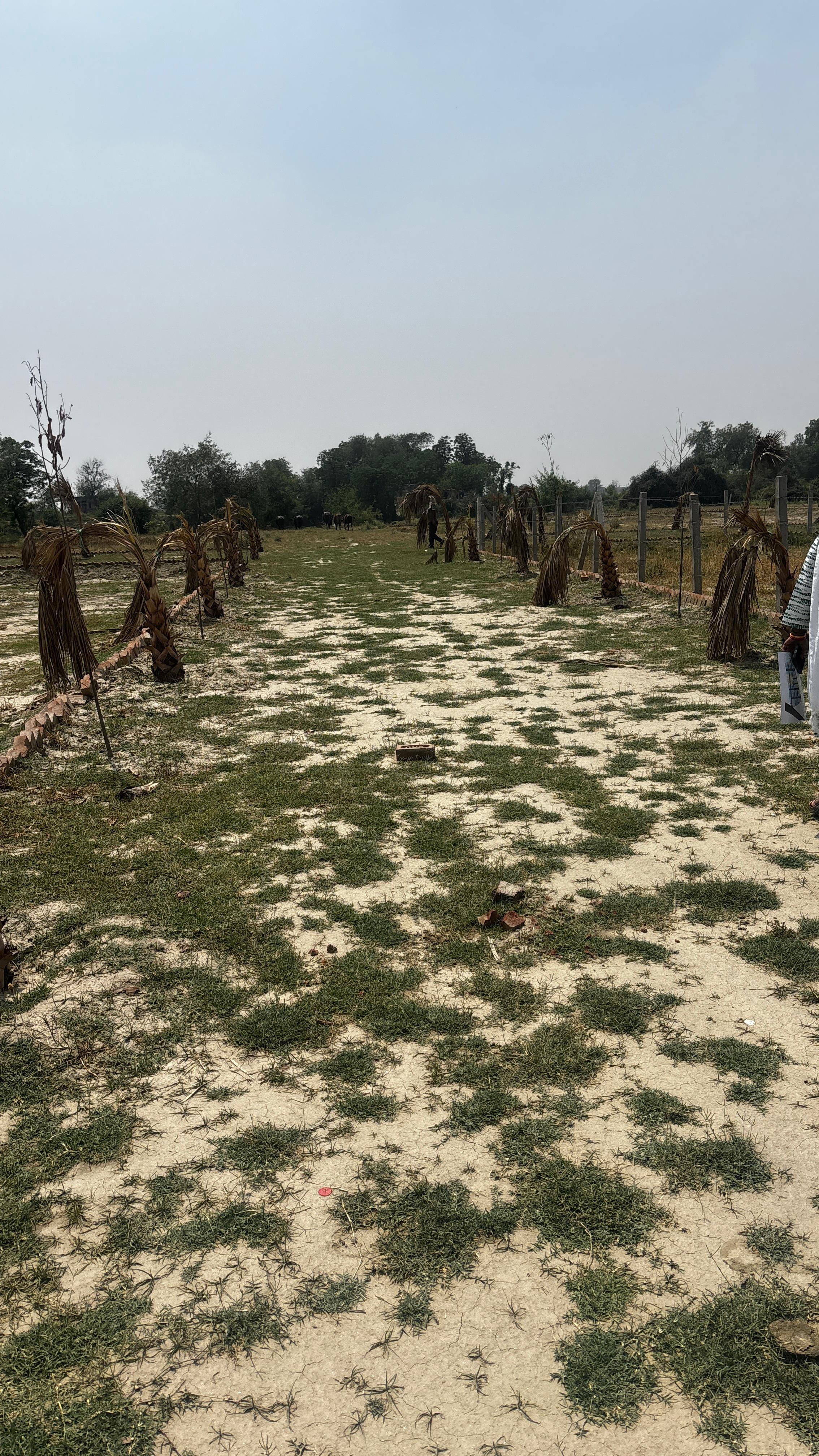 Plot For Sale in Ashoka Niketan