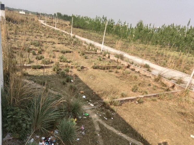 Garden, suman nagar  300 Sq.Yd. Plot In Suman Nagar Haridwar 8477013