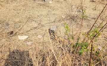 Plot For Sale in Buti Bori