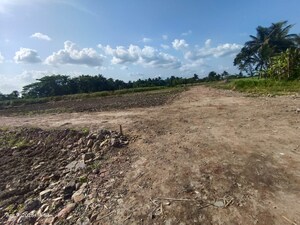  Plot – Garden View at Thakurpukur - for Sale