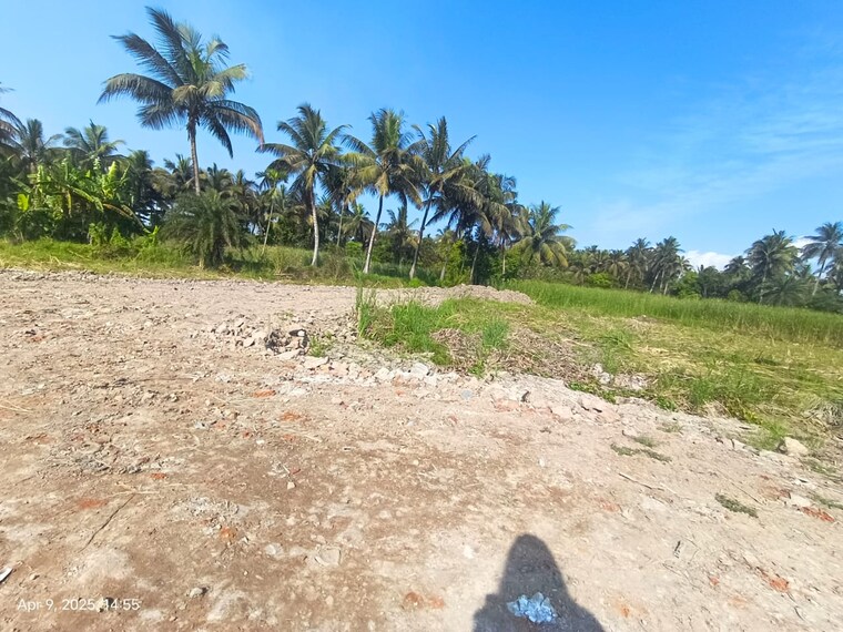 Garden, thakurpukur  2160 Sq.Ft. Plot In Thakurpukur Kolkata 8477675