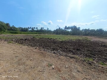  Plot – Garden View at Thakurpukur - for Sale