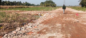 Plot Area in  Plot at Diamond Harbour Road – for Sale