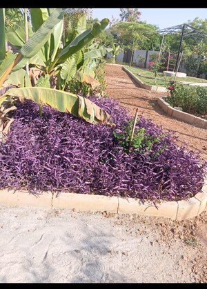  Plot – Garden View at Tukkuguda - for Sale