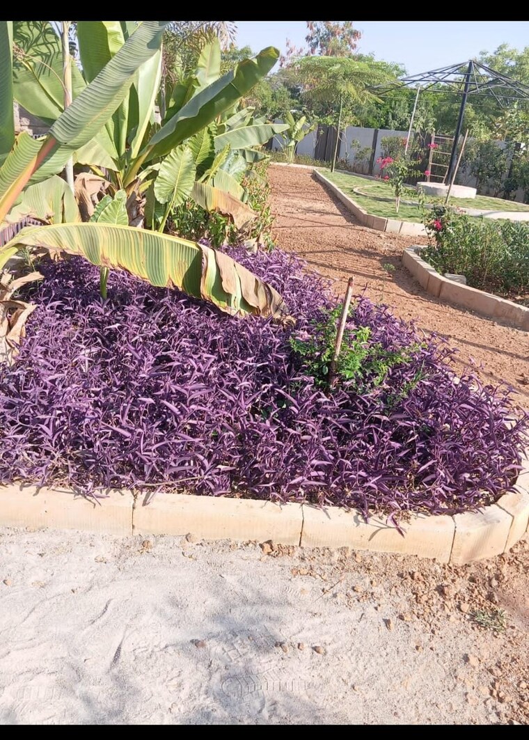 Garden, tukkuguda  500 Sq.Yd. Plot In Tukkuguda Hyderabad 8478054