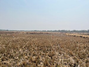  Plot For Sale in Koproli