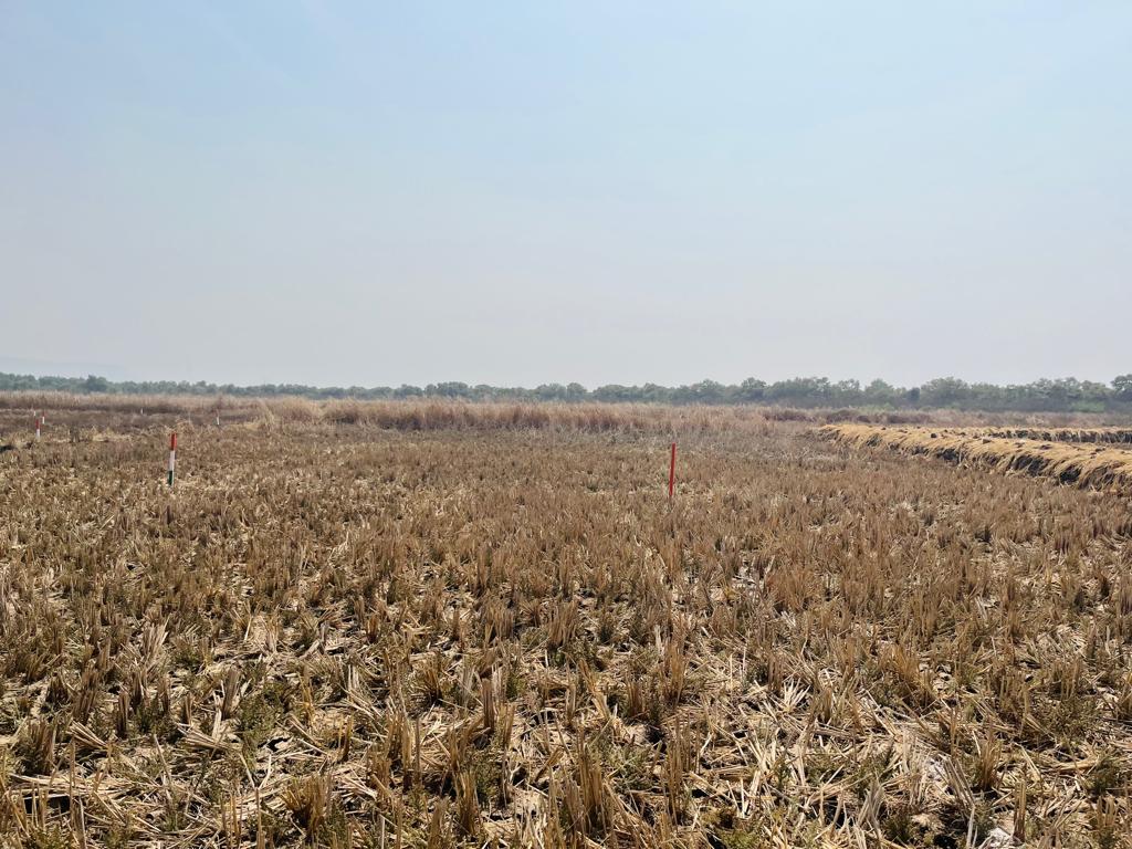 Plot For Sale in Koproli