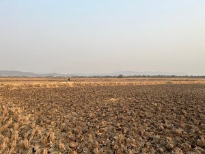  Plot – Exterior View View at Koproli - for Sale