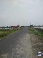 300 Acre Land in Basanti Highway