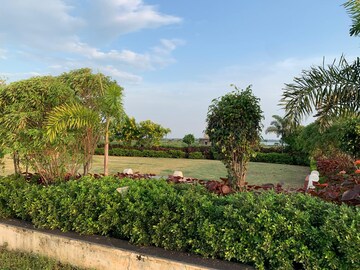  Plot – Exterior View View at Dhamtari Road - for Sale