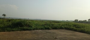  Plot – Exterior View View at Dhamtari Road - for Sale