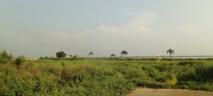  Plot – Exterior View View at Dhamtari Road - for Sale