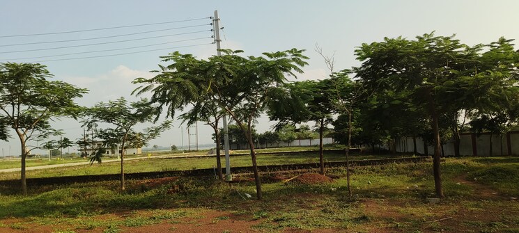 Exterior View, dhamtari road  1000 Sq.Ft. Plot In Dhamtari Road Raipur 8478526